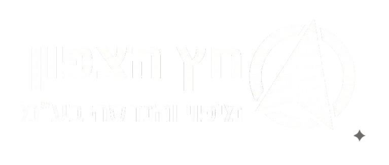 חץ הצפון מיפוי והנדסה בע
